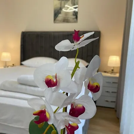 Izi Palace Deluxe Studiob1 Apartmán Sluneční pobřeží
