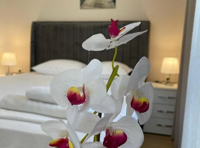 Izi Palace Deluxe Studiob1 Apartman Napospart