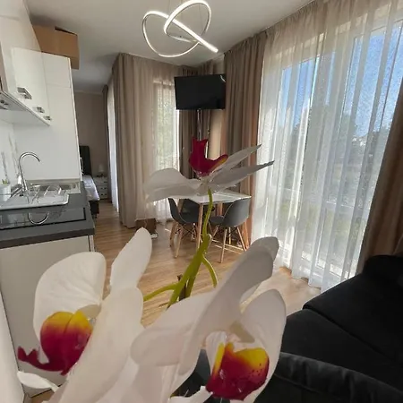 Apartament Izi Palace Deluxe Studiob1 *
